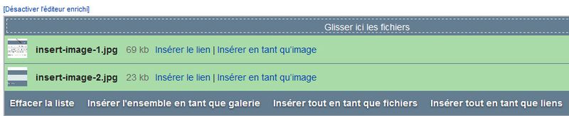 Fichier:Insert-image-4.jpg