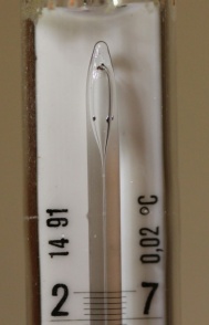 Hg vase 5289.JPG