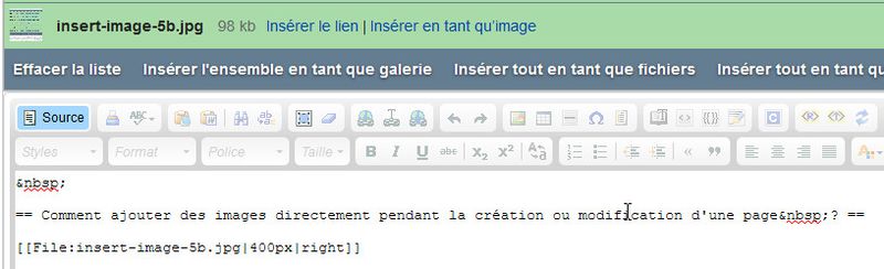 Fichier:Insert-image-5c.jpg
